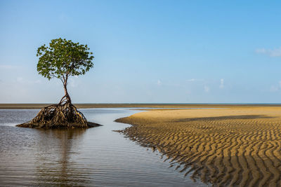 Scenic view of sea against blue sky