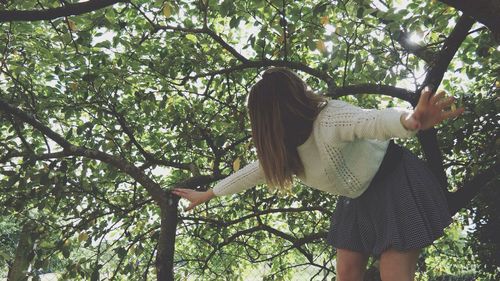 People walking on tree trunk