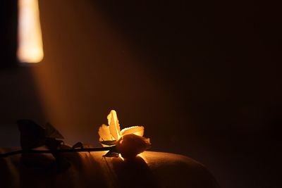 Lit candles in the dark