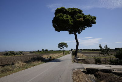 Road amidst trees against clear blue sky