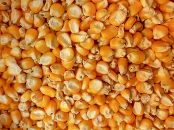 Full frame shot of onions