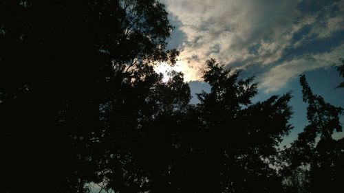 Low angle view of silhouette trees against sky