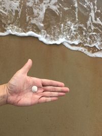 Midsection of person hand on sand at beach