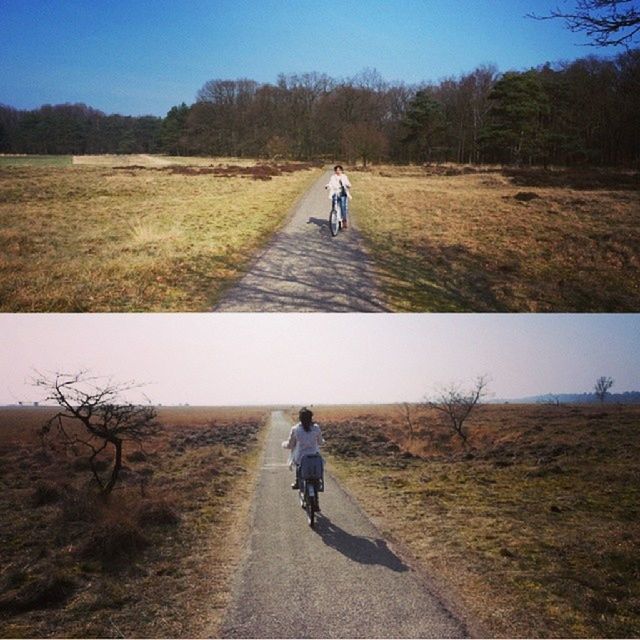 full length, rear view, lifestyles, grass, the way forward, walking, leisure activity, dirt road, casual clothing, landscape, field, men, shadow, road, childhood, nature, tranquility, sunlight