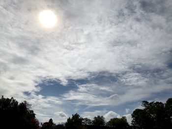 Low angle view of trees against cloudy sky