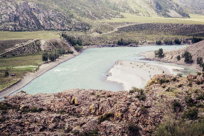High angle view of river amidst trees
