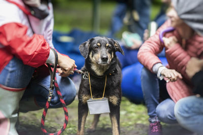 Group of people with dog