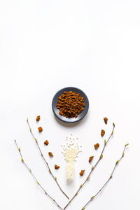 High angle view of ice cream in plate against white background