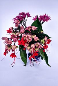 Close-up of red flowers against sky