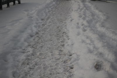 Snow covered landscape