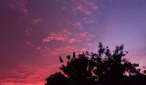 Low angle view of silhouette tree against sky at sunset