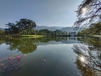 Reflection of trees in lake against sky