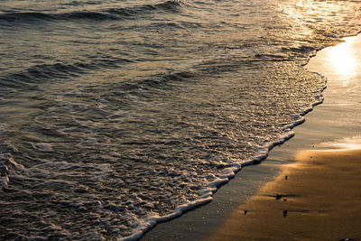 Waves approaching beach sand during golden sunset