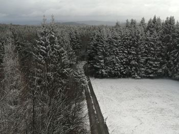 Trees on field against sky during winter