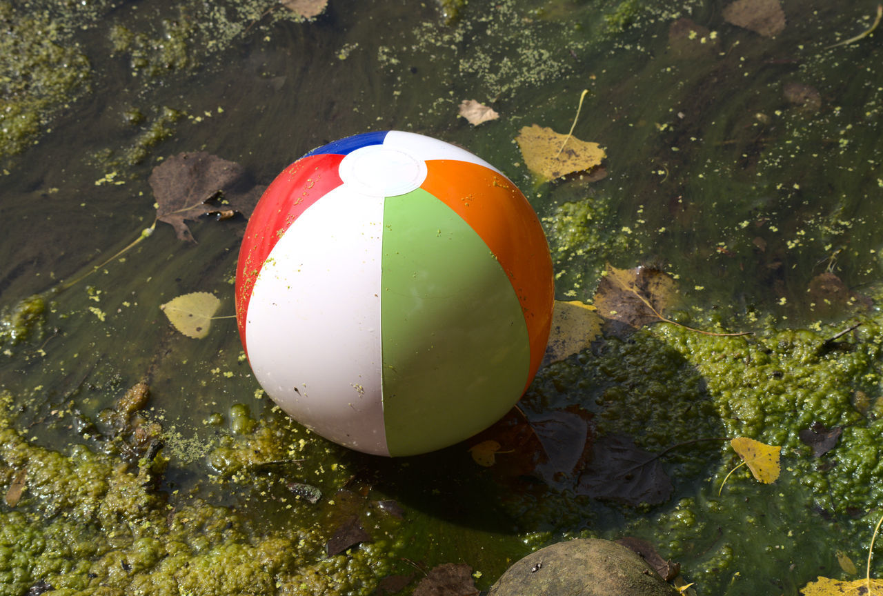 yellow, green, nature, ball, no people, high angle view, sports, water, day, outdoors, floating on water, buoy, reflection, floating