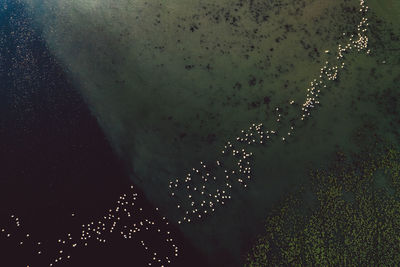 Low angle view of raindrops on illuminated tree at night