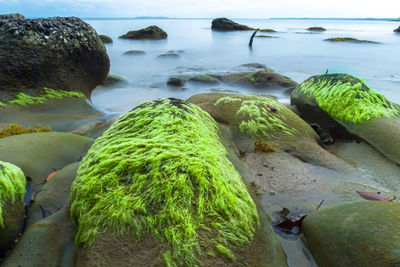 Scenic view of rocks at sea shore