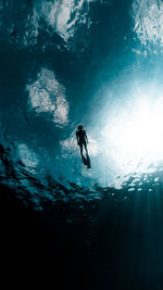 Low angle view of silhouette person swimming in sea