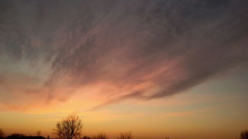 Low angle view of trees against dramatic sky