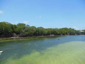 Scenic view of calm sea against sky