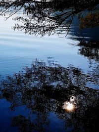 High angle view of tree by lake against sky