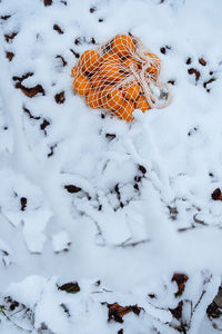 Close-up of snow covered field