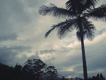 Low angle view of silhouette palm trees against sky