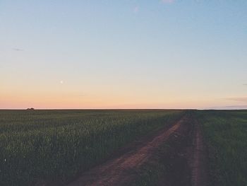 Scenic view of field against clear sky at sunset