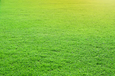 Full frame shot of green field