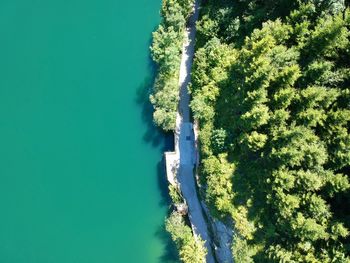 High angle view of trees by sea