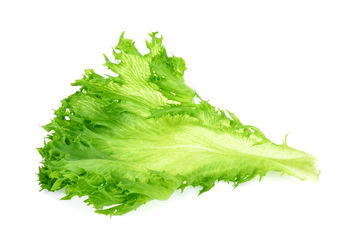 Close-up of green leaf against white background