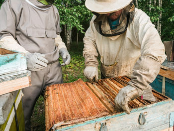 Rear view of man working on field