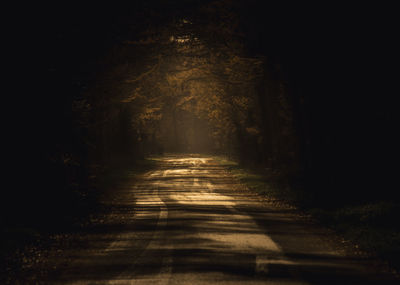 Empty road along trees in forest