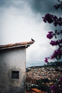Low angle view of old building in town against sky