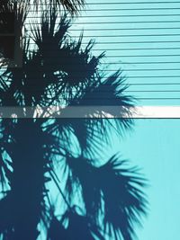 Silhouette palm trees against blue sky