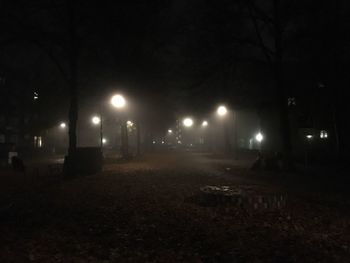 Illuminated street lights at night