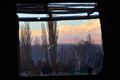 Scenic view of landscape at sunset