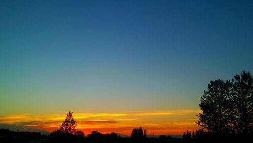 Silhouette of trees against sky at sunset