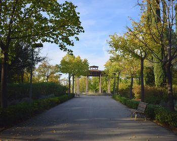 Empty road amidst trees in park against sky