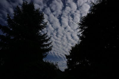 Silhouette of trees against cloudy sky