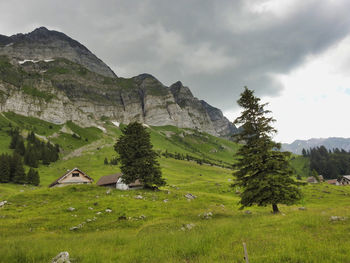 Scenic view of landscape and mountains against sky