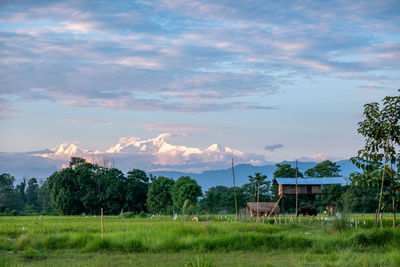 Scenic view of field against sky