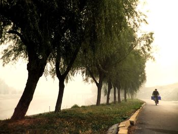 People walking on footpath