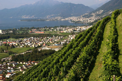 High angle view of town by sea against sky