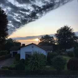 Trees and buildings against sky during sunset