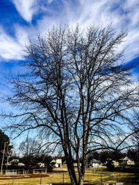 Low angle view of bare tree against cloudy sky