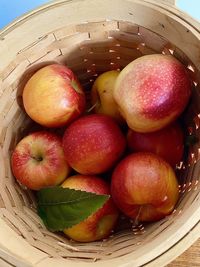 High angle view of apples in basket