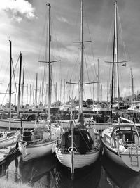 Sailboats moored on harbor against sky