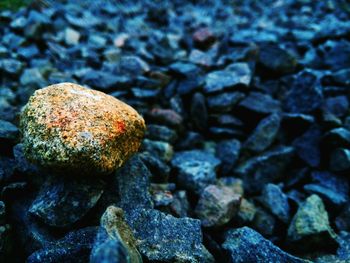 Close-up of stones on rock