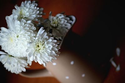 Tilt shot of white flowers in pot on table